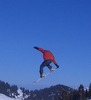 simon laws